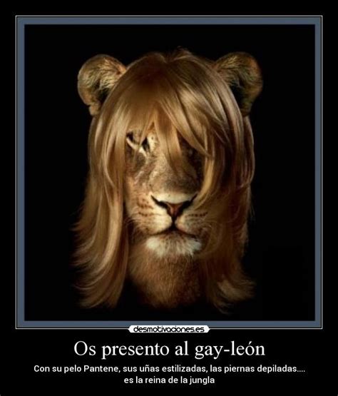 Gay León